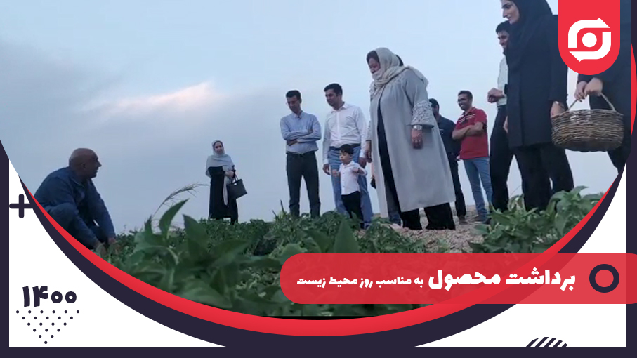برداشت محصول مجموعه رفاهی مزرعه شرکت ذوب فولاد اردکان به مناسبت روز جهانی محیط زیست